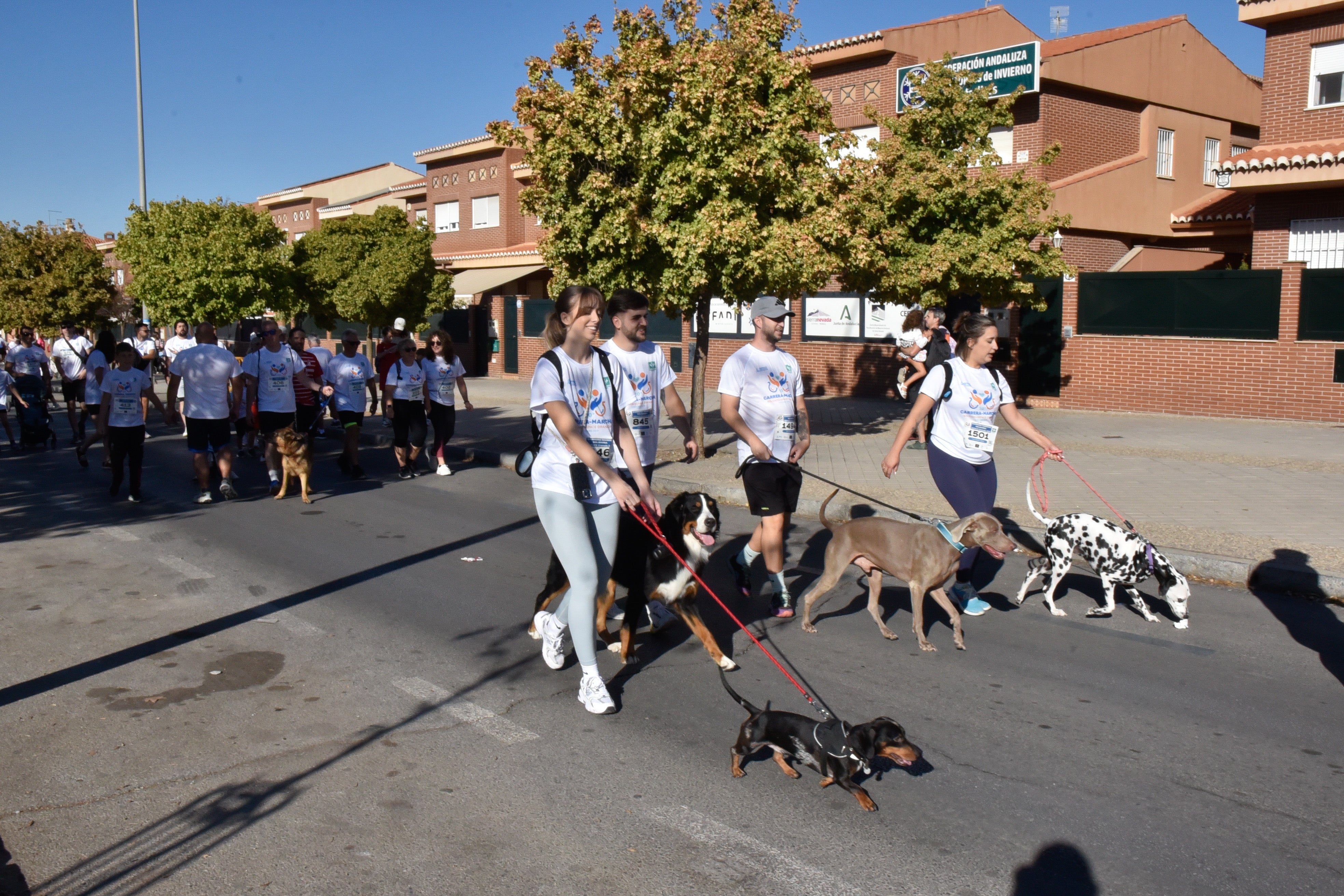 Encuéntrate en la carrera de Aspace en Granada