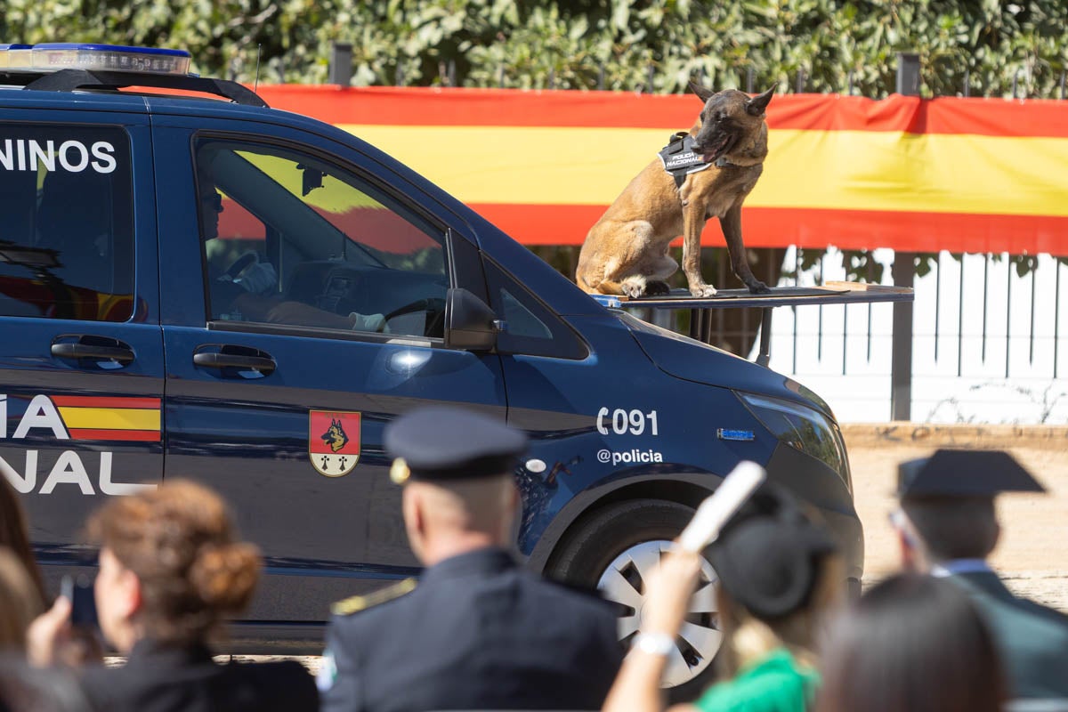 Las imágenes de la celebración del Patrón de la Policía en Granada