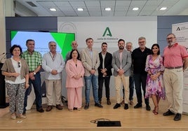 Granada acogerá distintas propuestas en el XV aniversario de la declaración del Flamenco como Patrimonio de la Humanidad