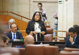 El PP pide «más medios materiales y humanos» en la lucha contra el narco en Almería