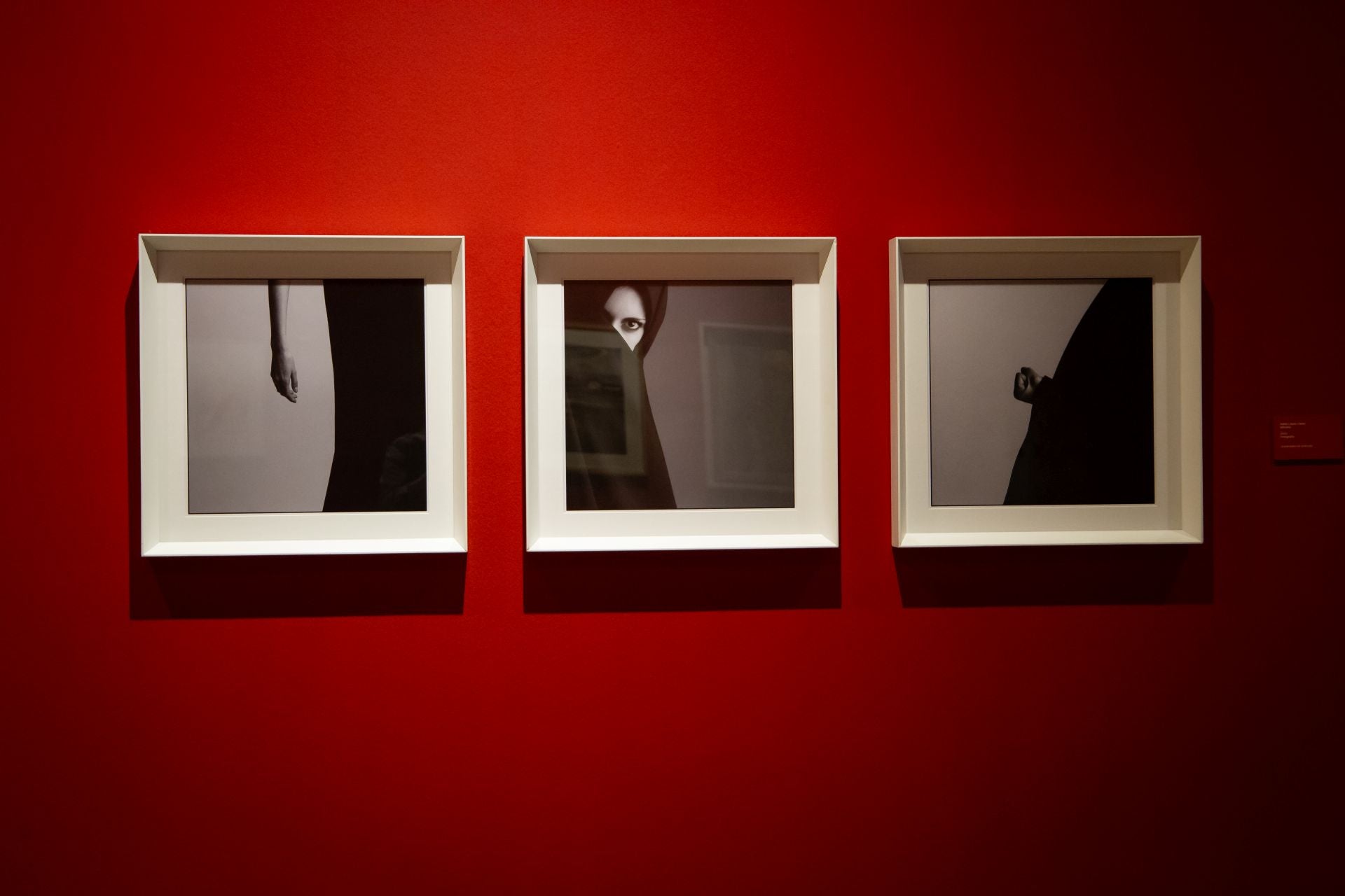 La impresionante exposición con las mejores obras de las universidades de Granada y Sevilla en el Hospital Real