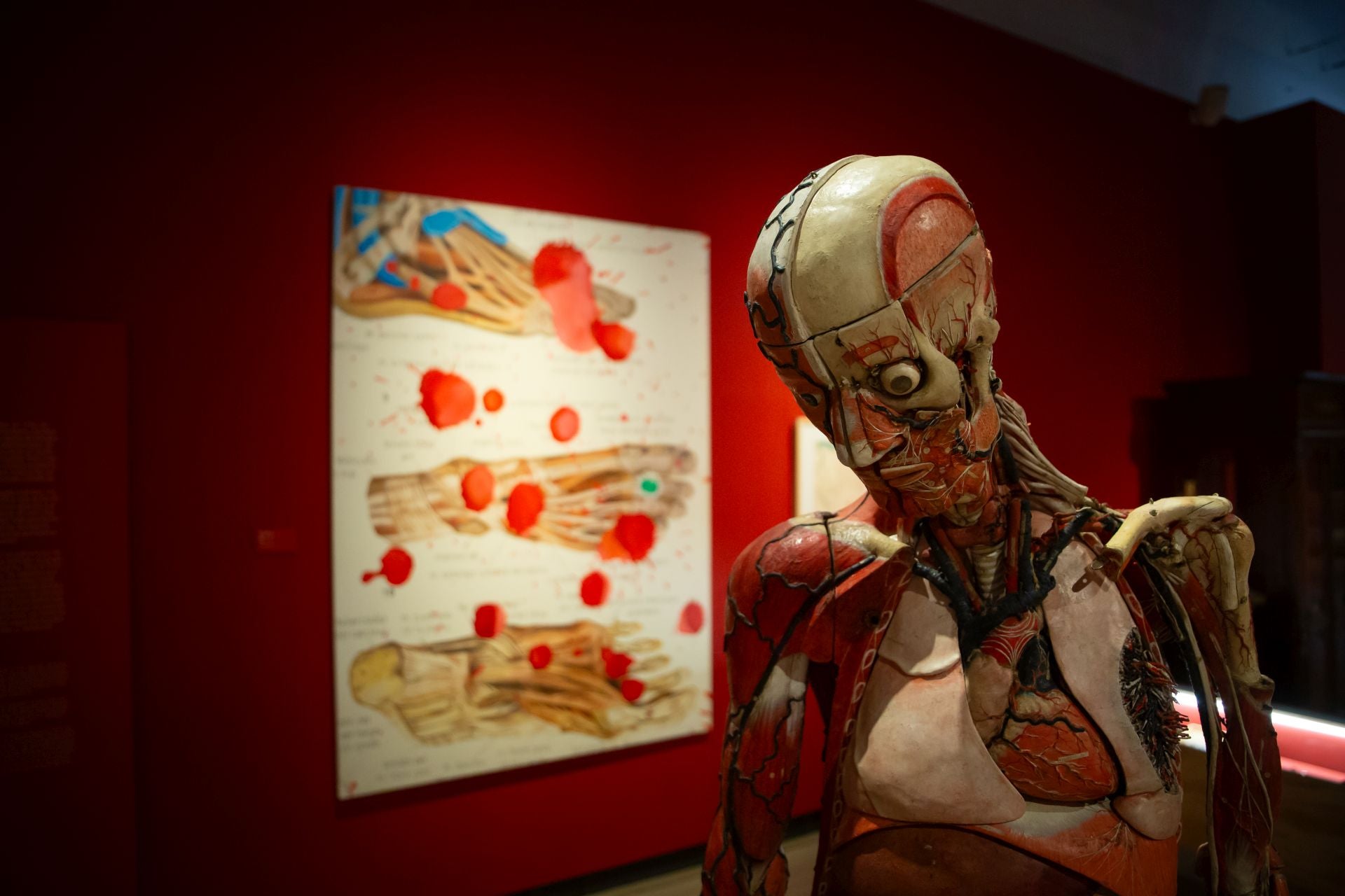 La impresionante exposición con las mejores obras de las universidades de Granada y Sevilla en el Hospital Real