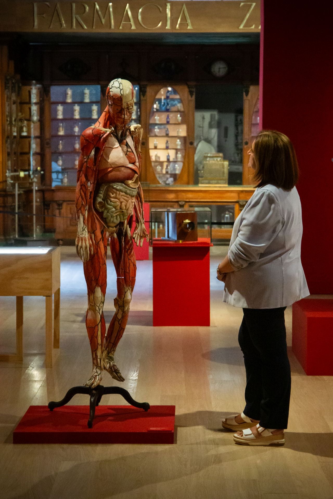 La impresionante exposición con las mejores obras de las universidades de Granada y Sevilla en el Hospital Real
