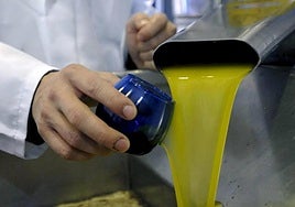 Cata de aceite en una imagen de archivo.