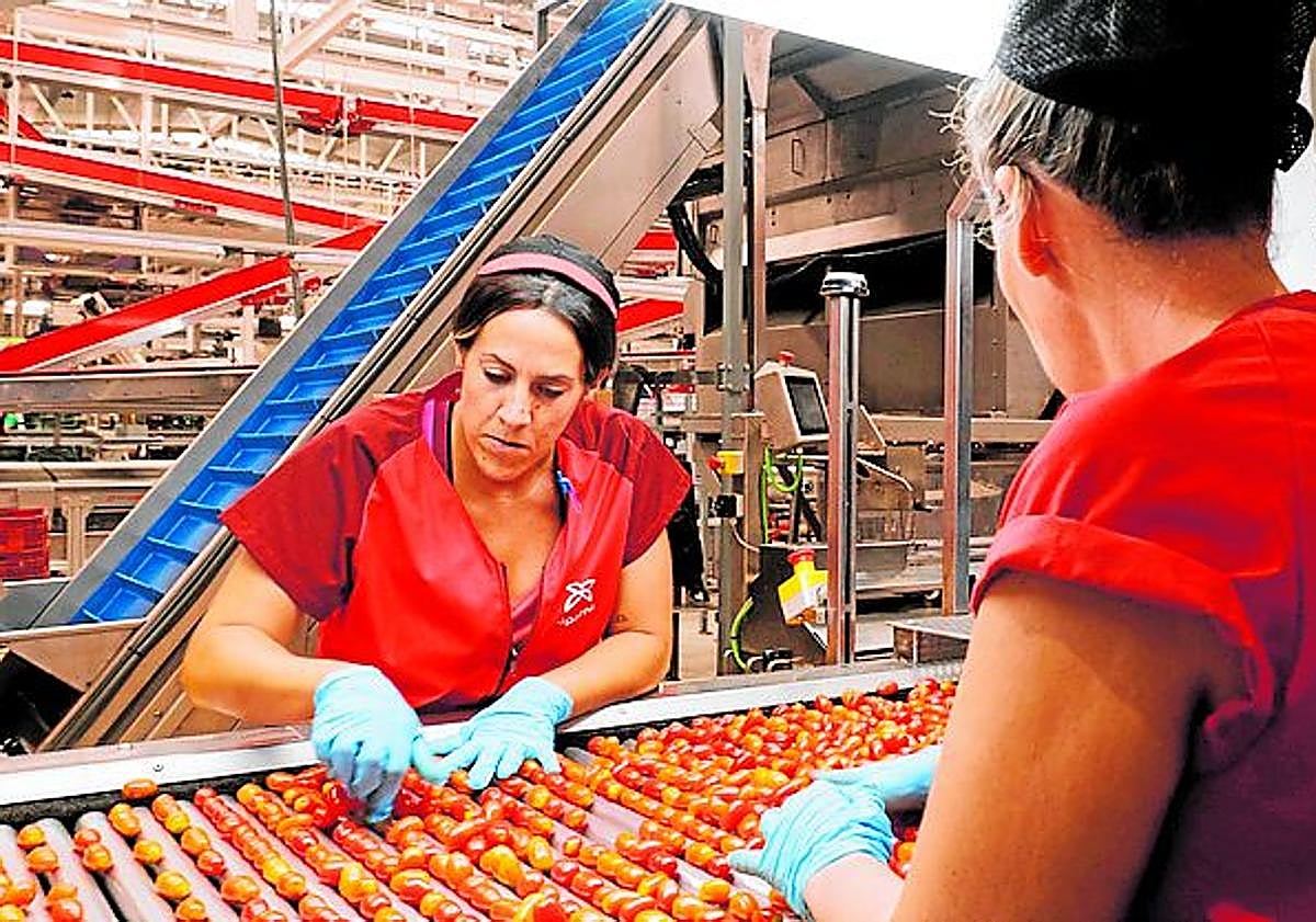 Imagen principal - La gran cooperativa del cherry innova con el salmorejo y las hamburguesas veganas