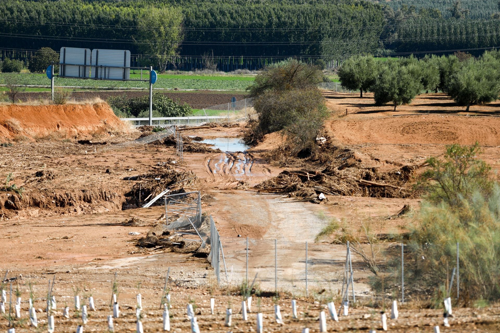 Los efectos de la borrasca Alice en la provincia de Granada