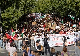 Los manifestantes, entres los que hay un gran número de jóvenes estudiantes, claman por la libertad del pueblo palestino y exigen «una paz real».