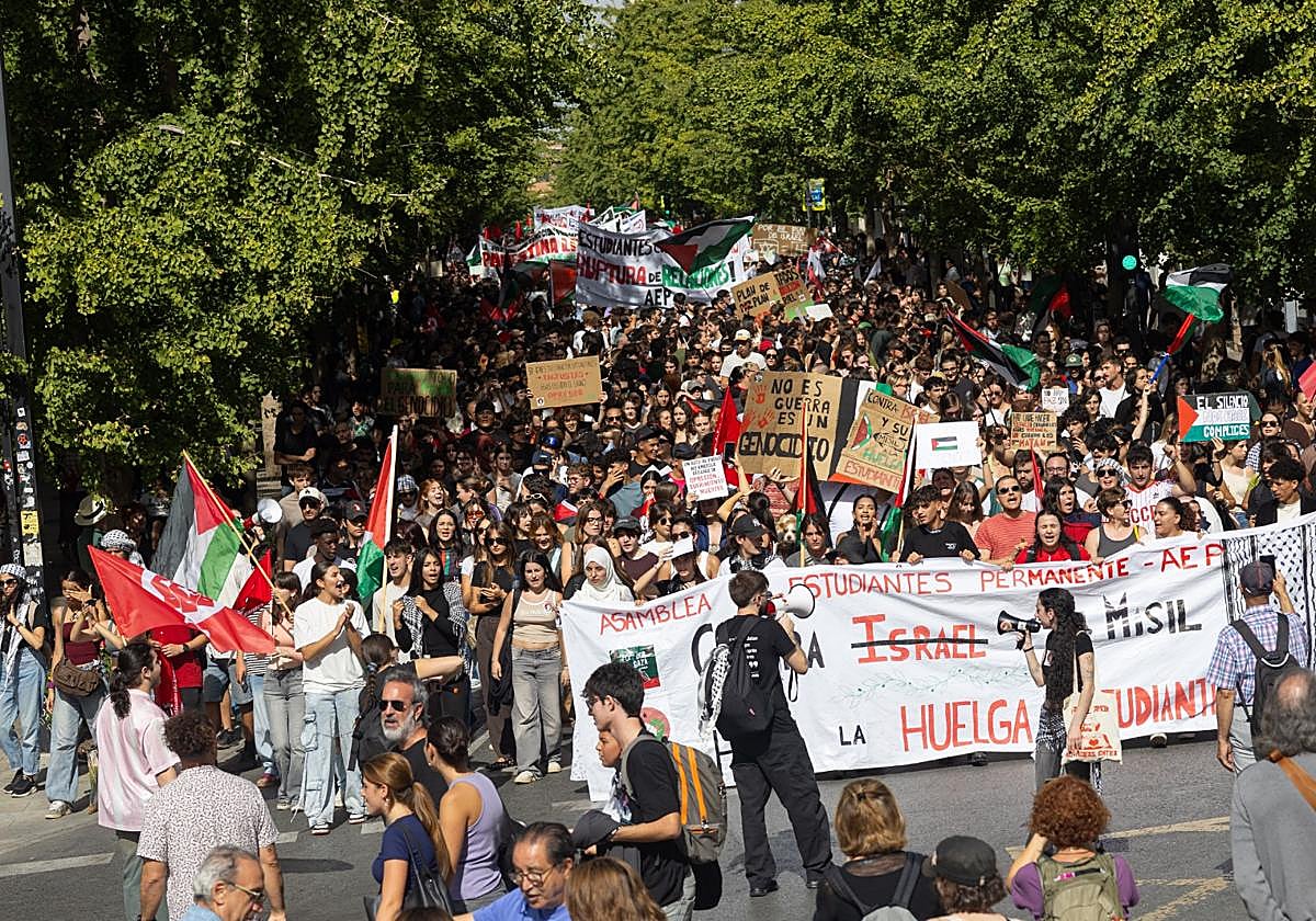 Los manifestantes, entres los que hay un gran número de jóvenes estudiantes, claman por la libertad del pueblo palestino y exigen «una paz real».
