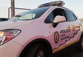 El jefe de la Policía Local de Pulianas y un agente acusan a un edil del PP de presunta difamación
