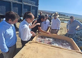 La Junta comparte con Hungría un modelo de éxito en acuicultura sostenible e innovación