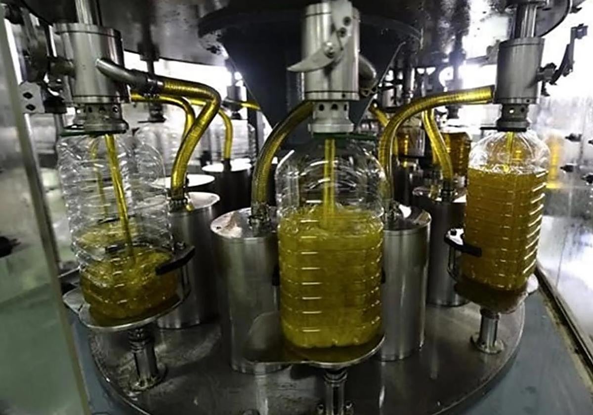 El dueño de una fábrica de aceite de Granada puede ir a prisión por estafar a un agricultor