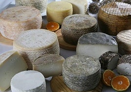 Sanidad alerta de dos quesos contaminados por listeria y e.coli.