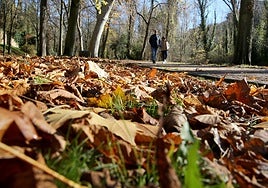 El otoño que se escurre