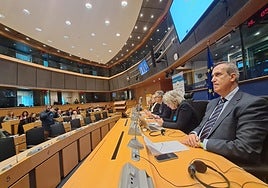 El gerente de Coexphal, Luis Miguel Fernández, durante la votación.