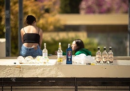 Vox advierte de los botellones en el entorno de San Jerónimo