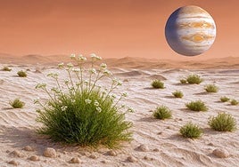 Recreación con inteligencia artificial de cultivo de una planta en Marte.