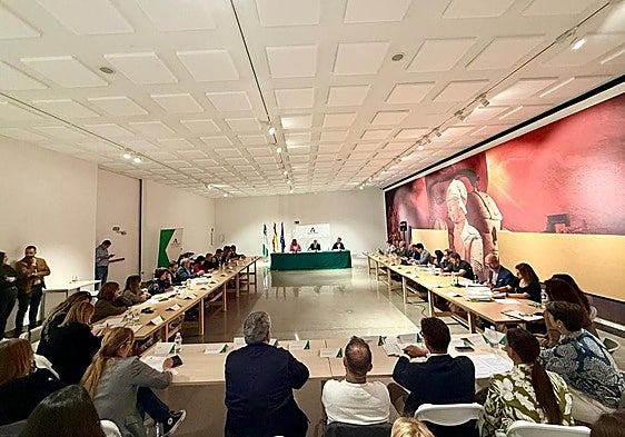 Reunión celebrada en el Museo Íbero.