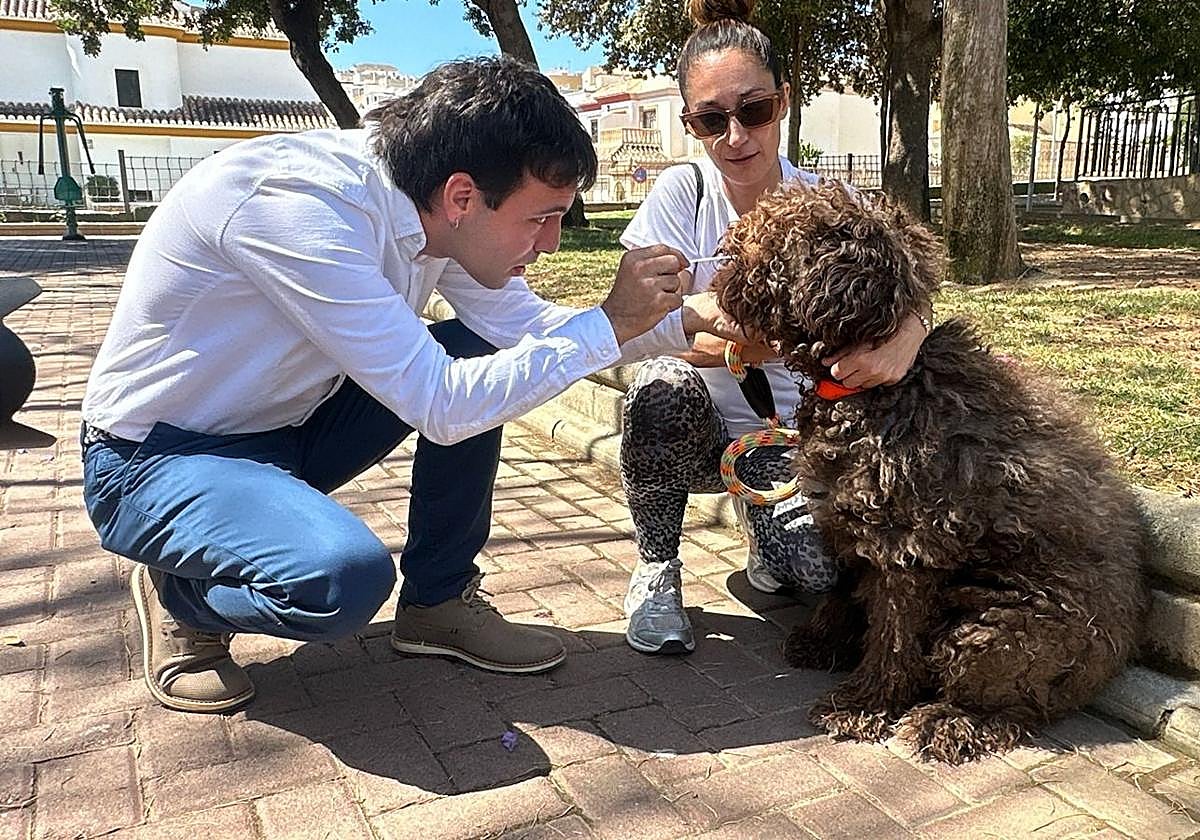 Huércal de Almería cierra el registro del 'ADN Canino' con más de 1.200 perros inscritos