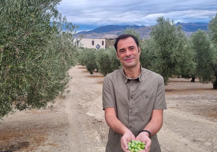 «Desde mi almazara te digo cómo será el inminente precio del aceite de oliva»