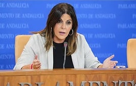La portavoz adjunta del Grupo Parlamentario Socialista, Ángeles Férriz, durante la ronda de ruedas de prensa de portavoces de los grupos parlamentarios en el Parlamento de Andalucía,