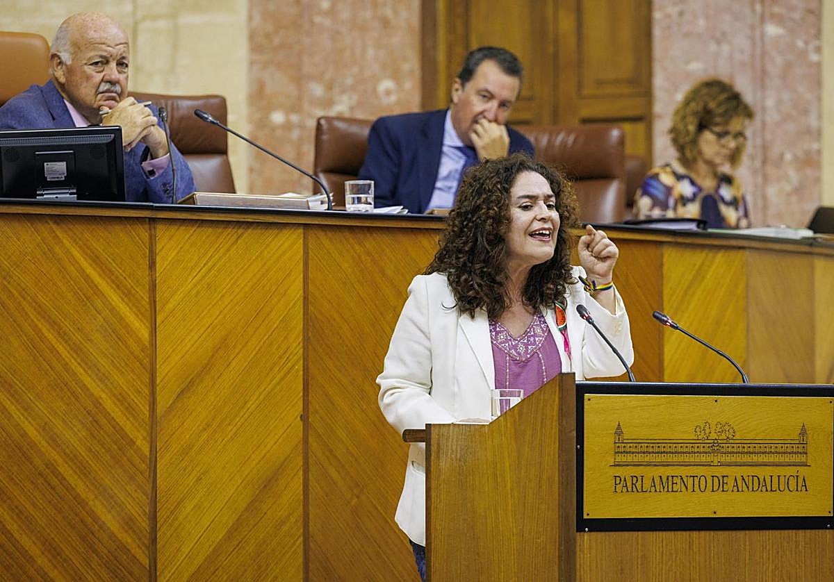 a portavoz del grupo parlamentario Por Andalucía, Inma Nieto