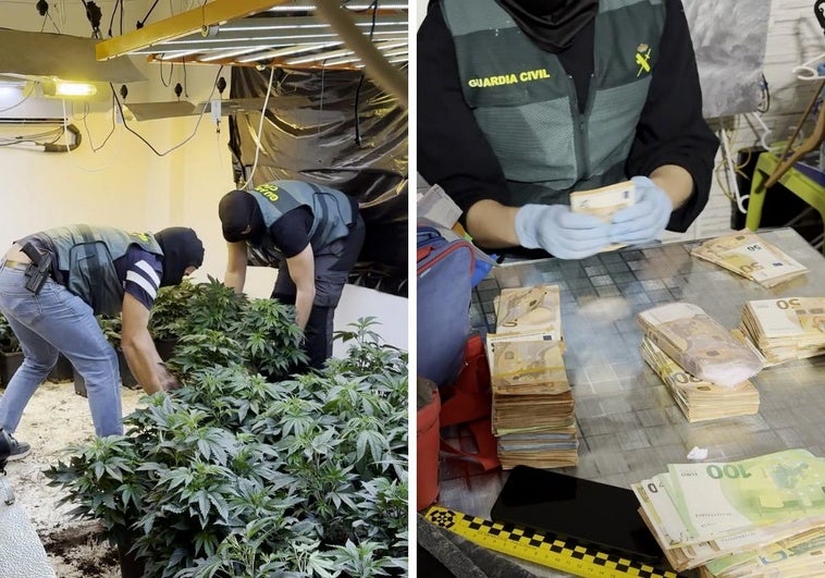 «La operación más profunda» contra la droga en Granada: 35 detenidos y un valor de cuatro millones de euros