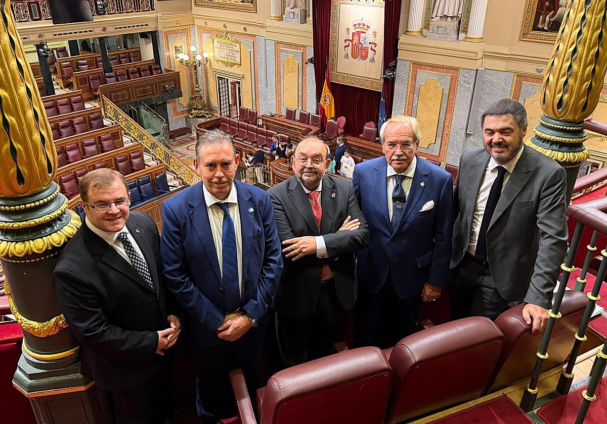 Varios integrantes de la Asociación '500 años de Álvaro de Bazán' acudieron al Congreso para asistir al debate.