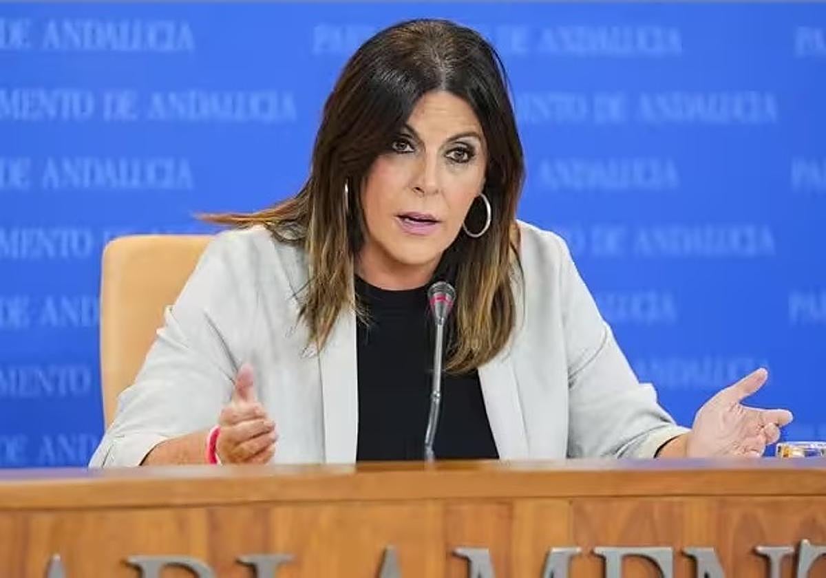 La portavoz adjunta del Grupo Parlamentario Socialista, Ángeles Férriz, durante la ronda de ruedas de prensa de portavoces de los grupos parlamentarios en el Parlamento de Andalucía,