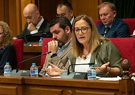 Esperanza Pérez, diputada provincial del PSOE en Almería.
