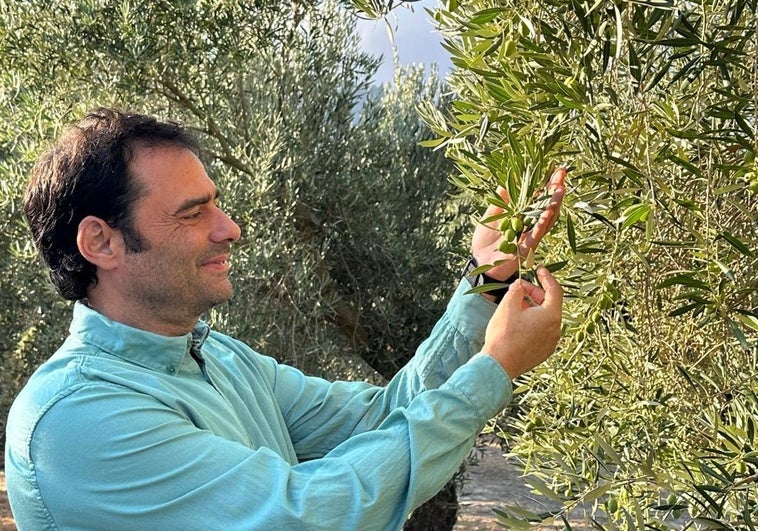 Antonio Velasco, fundador de una almazara: «Este es el mejor aceite de oliva que puedes consumir ahora»
