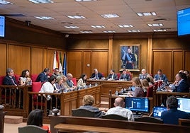 Pleno de la Diputación de Almería.