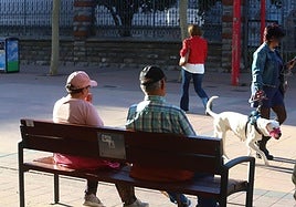 La cantidad que van a cobrar con la paga extra los pensionistas esta Navidad.