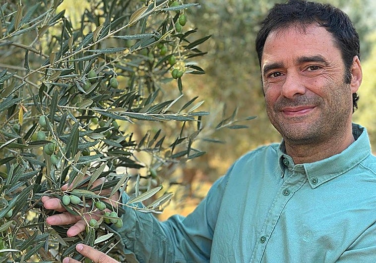 Antonio Velasco, jefe de una almazara: «Avanzo el precio del aceite de oliva en Navidad»