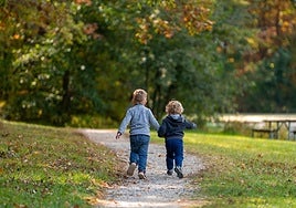 Los parques como recurso para evitar la desconoexión con la naturaleza.