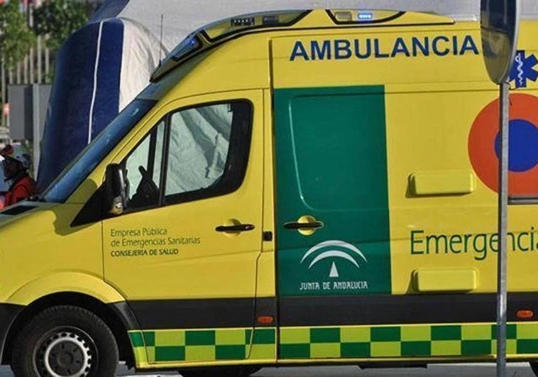 La autopsia de la joven muerta en un piso de estudiantes de Granada no es concluyente