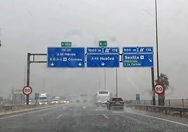 Efectos del temporal en las inmediaciones de Sevilla.