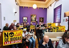 Los vecinos, en el salón de plenos, durante la defensa de la moción.