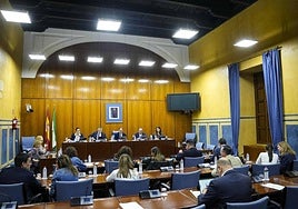 Un momento de la comisión de Sanidad celebrada este jueves en el Parlamento.