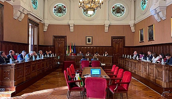Imagen del pleno de la Diputación.