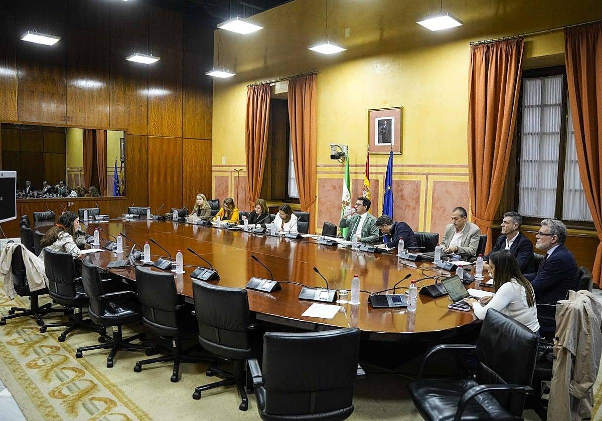 Una de las comparecientes en la Comisión de Vivienda del Parlamento.