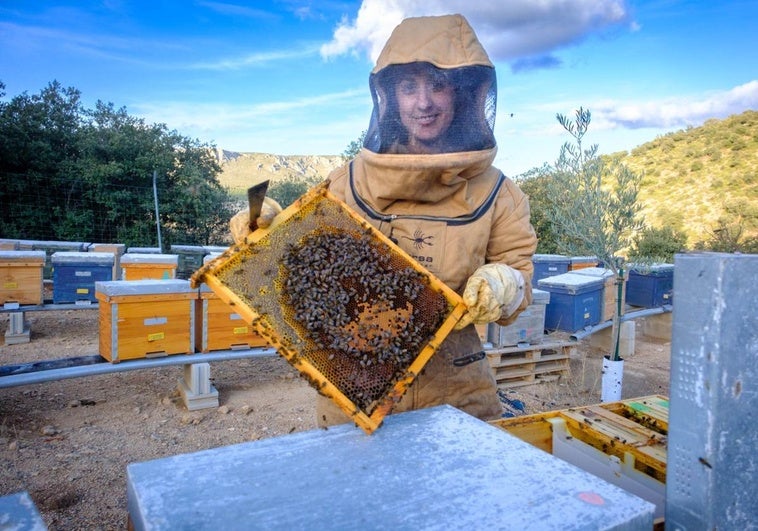 El pueblo de Granada con 70 vecinos y cuatro millones de abejas