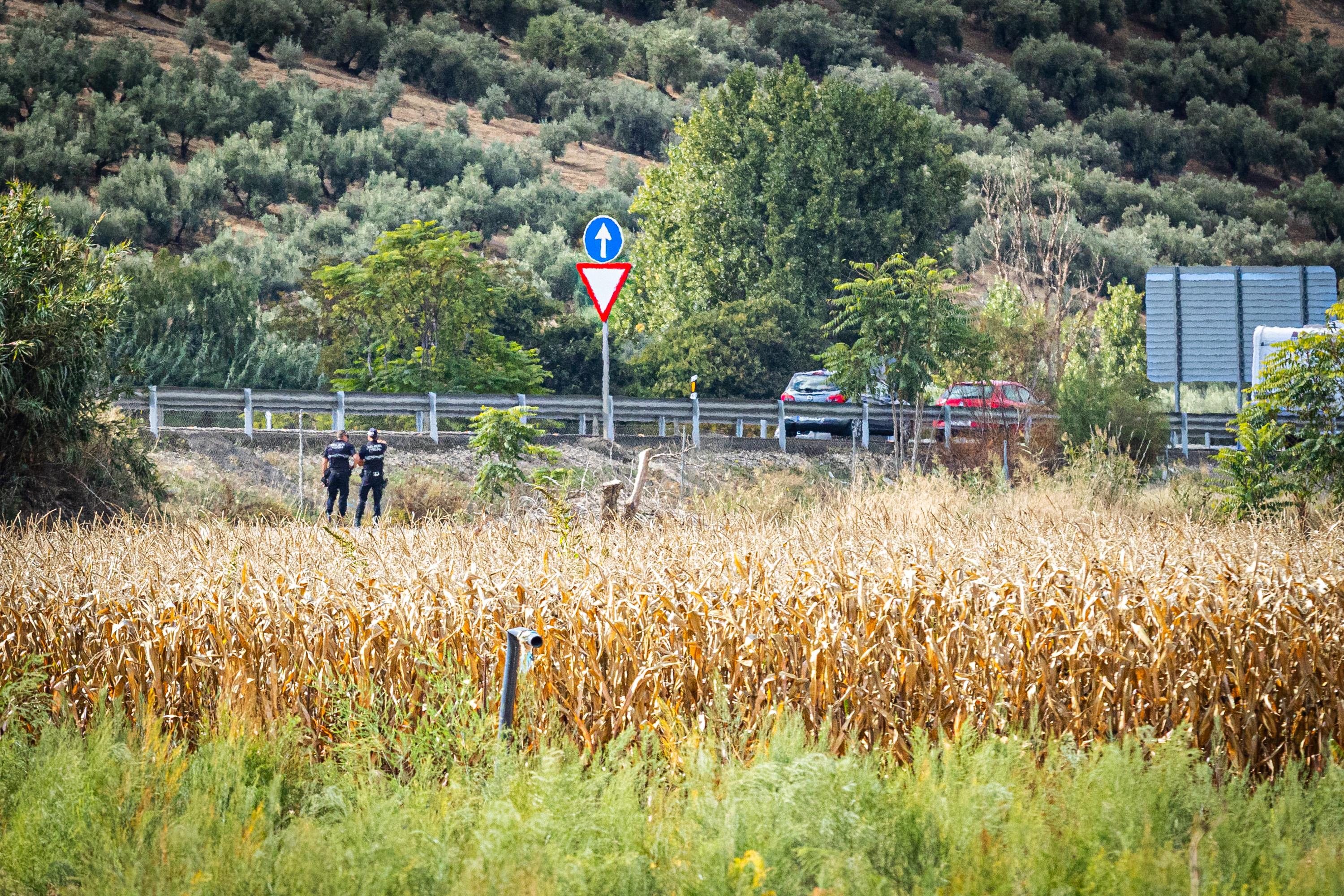 La Guardia Civil investiga el atropello de un niño de Huétor Tájar en la A-92