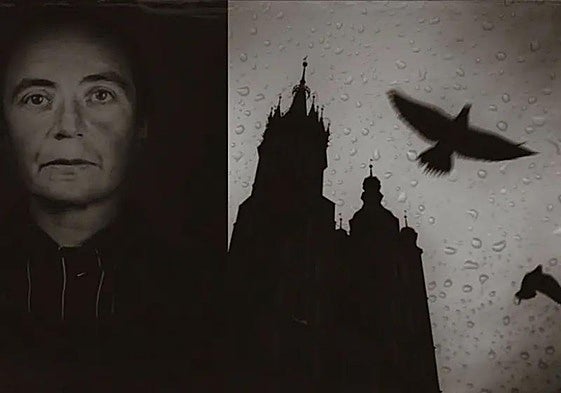 Serie Cresol, primer premio.