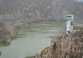 Un estudio revela la inesperada forma en la que los pantanos pierden agua.