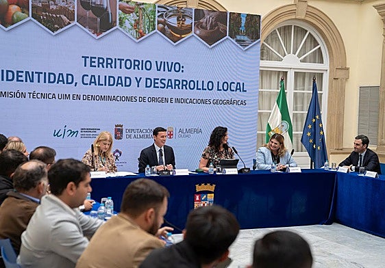 Diputación acoge una delegación iberoamericana para analizar el 'Modelo Almería'