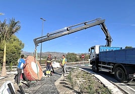 Los operarios trabajan en la colocación de un mango en la rotonda de Los Pinos de Almuñécar.