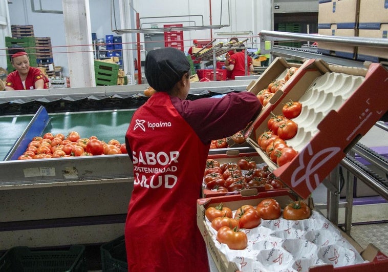 Granada suma más de medio millar de parados pero frena la tendencia alcista de octubre