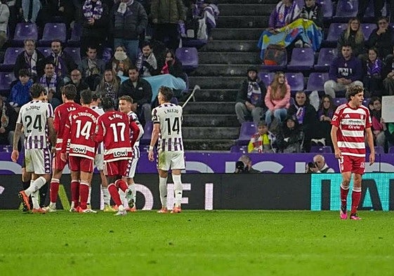 Diego Hormigo se retira expulsado de Zorrilla.