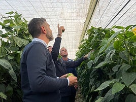 El consejero visita invernaderos de El Ejido tras la DANA