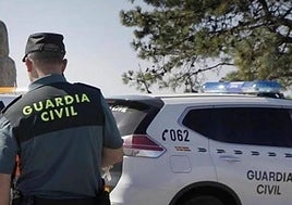 La Guardia Civil detiene al encapuchado que ató y amordazó a un vecino de Granada para robarle en su casa
